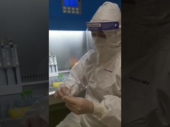 Oral Nasal Swab with Breakpoint for Virus Sample Collection